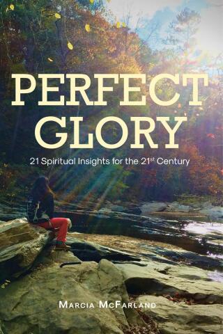 Imagen de portada: PERFECT GLORY 9798890435064