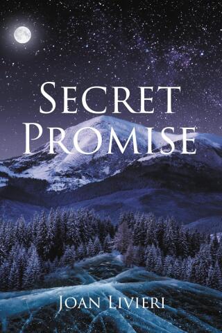 Cover image: Secret Promise 9798890618979