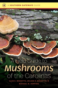 Omslagafbeelding: A Field Guide to Mushrooms of the Carolinas 1st edition 9781469638539
