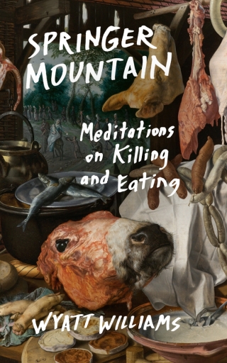 Cover image: Springer Mountain 1st edition 9781469665481