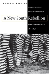 Omslagafbeelding: A New South Rebellion 1st edition 9780807824238