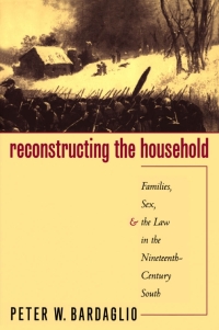 Imagen de portada: Reconstructing the Household 1st edition 9780807822227