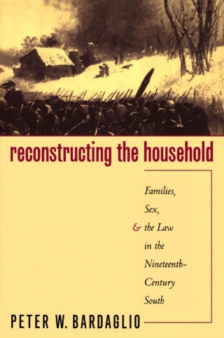 Cover image: Reconstructing the Household 1st edition 9780807847121