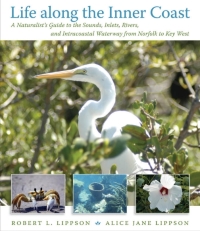Cover image: Life along the Inner Coast 1st edition 9780807833032