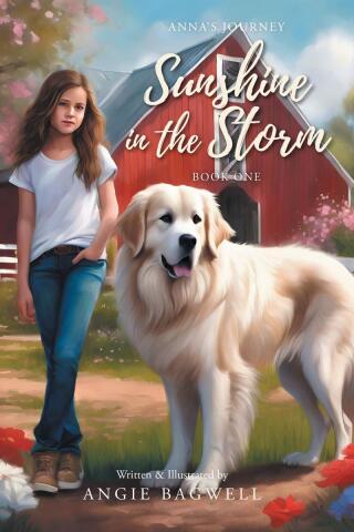 表紙画像: Sunshine in the Storm 9798891128941