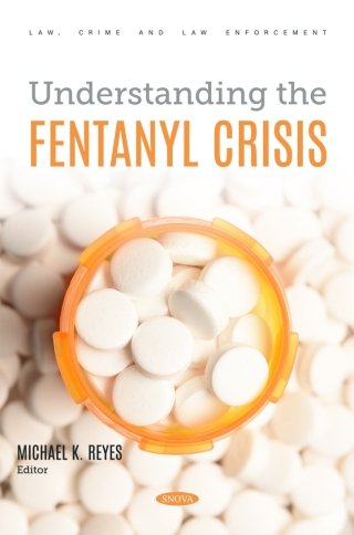 Imagen de portada: Understanding the Fentanyl Crisis 9798891138308
