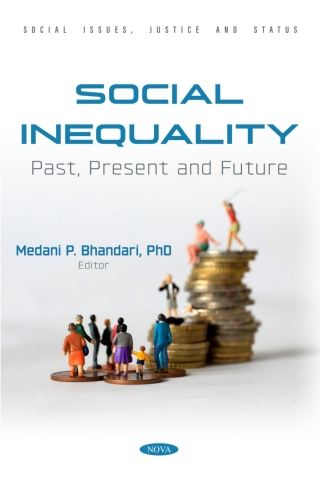 Imagen de portada: Social Inequality: Past, Present and Future 9798891138773