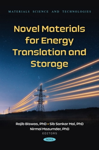 Imagen de portada: Novel Materials for Energy Translation and Storage 9798891139787