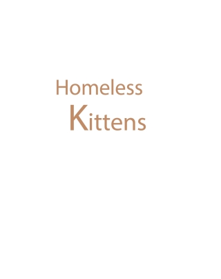 Imagen de portada: Homeless Kittens 9798897851225
