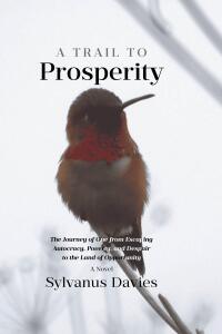 Cover image: A Trail To Prosperity 9798891577046