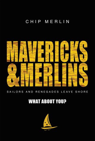 Cover image: Mavericks & Merlins 9781642251227