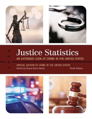 Cover image: Justice Statistics 9th edition 9798892050401