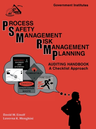 Titelbild: PSM/RMP Auditing Handbook 1st edition 9780865876866