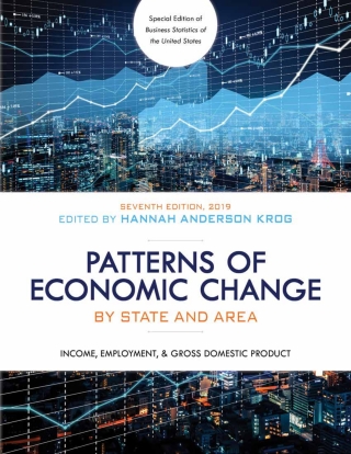 Omslagafbeelding: Patterns of Economic Change by State and Area 2019 7th edition 9781641433839
