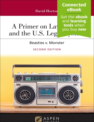 Imagen de portada: A Primer on Law School and the U.S. Legal System 2nd edition 9798892078993