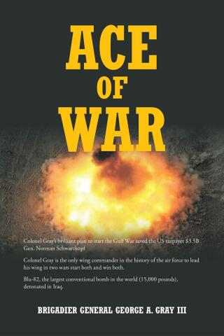 Cover image: Ace of War 9798892215206