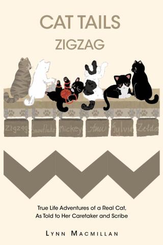 Cover image: CAT TAILS ZIGZAG 9798892433631