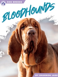 Titelbild: Bloodhounds 1st edition 9781637389041