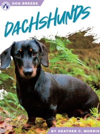 Cover image: Dachshunds 1st edition 9781637389065