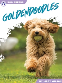 Cover image: Goldendoodles 1st edition 9781637389102