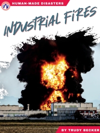 Imagen de portada: Industrial Fires 1st edition 9781637389256