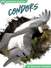 Titelbild: Condors 1st edition 9781637389331