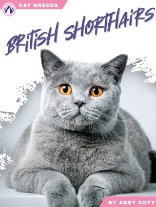 Imagen de portada: British Shorthairs 1st edition 9798892503082