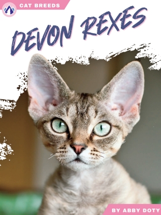 Immagine di copertina: Devon Rexes 1st edition 9798892503099