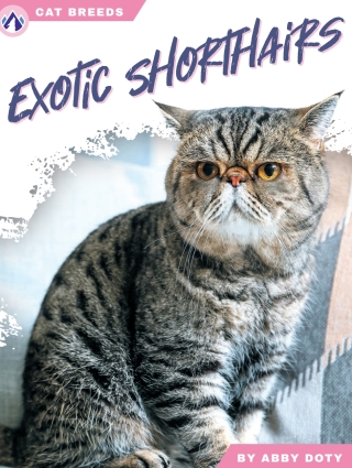 Imagen de portada: Exotic Shorthairs 1st edition 9798892503105
