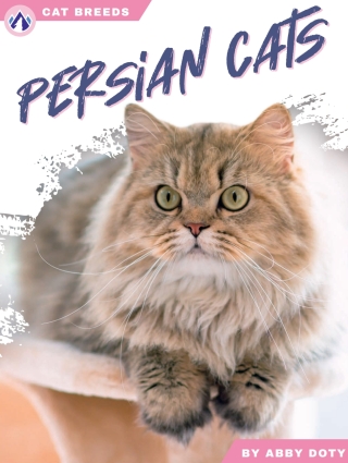Imagen de portada: Persian Cats 1st edition 9798892503129