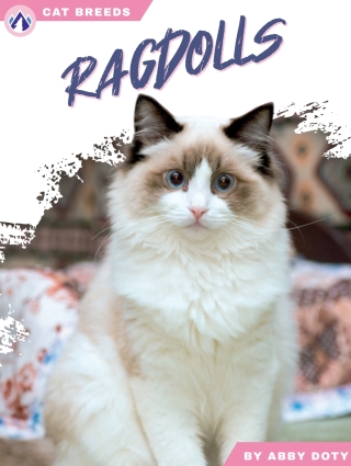 Imagen de portada: Ragdolls 1st edition 9798892503136