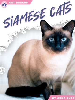 Imagen de portada: Siamese Cats 1st edition 9798892503150