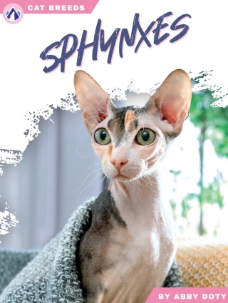 Cover image: Sphynxes 1st edition 9798892503167