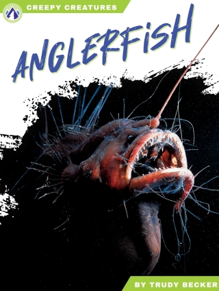 Cover image: Anglerfish 1st edition 9798892503181