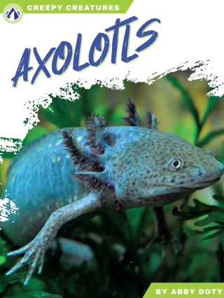 Imagen de portada: Axolotls 1st edition 9798892503198