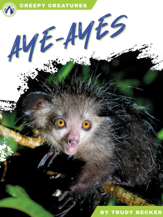 Imagen de portada: Aye-Ayes 1st edition 9798892503204