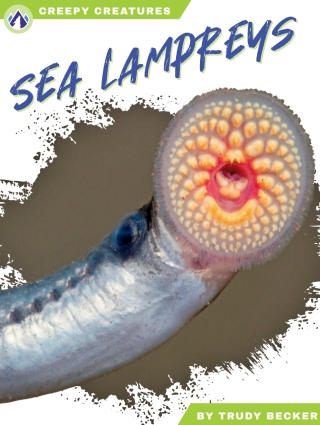 Cover image: Sea Lampreys 1st edition 9798892503211
