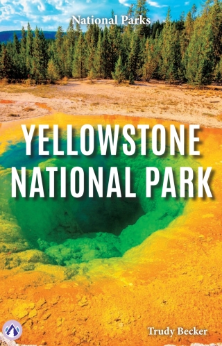 Imagen de portada: Yellowstone National Park 1st edition 9798892504560