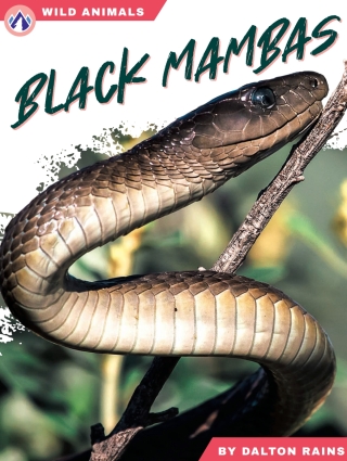 Cover image: Black Mambas 1st edition 9798892505451