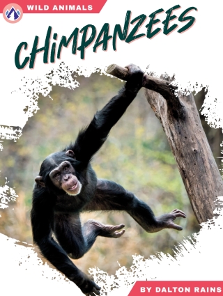 Titelbild: Chimpanzees 1st edition 9798892505468