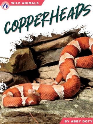 Imagen de portada: Copperheads 1st edition 9798892505475