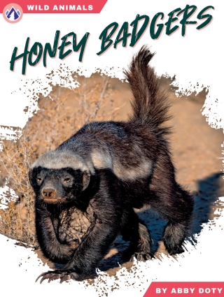 Cover image: Honey Badgers 1st edition 9798892505482