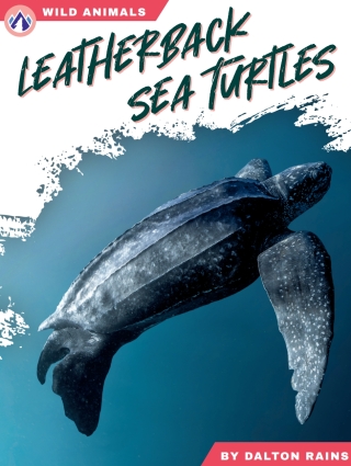 Imagen de portada: Leatherback Sea Turtles 1st edition 9798892505499