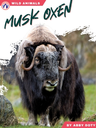 Cover image: Musk Oxen 1st edition 9798892505505