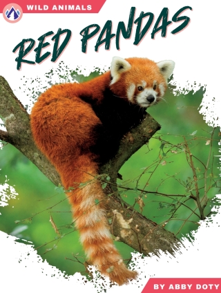 Cover image: Red Pandas 1st edition 9798892505512