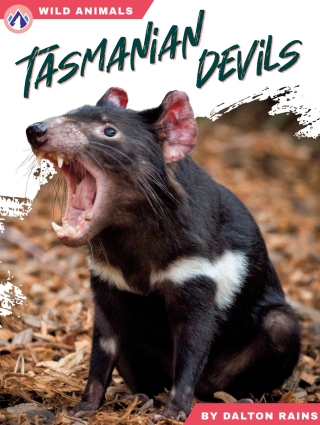 Imagen de portada: Tasmanian Devils 1st edition 9798892505529