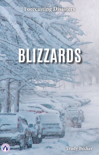 Cover image: Blizzards 1st edition 9798892506595
