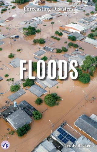 Cover image: Floods 1st edition 9798892506601