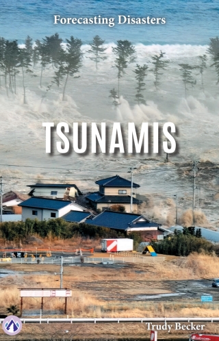 Cover image: Tsunamis 1st edition 9798892506649