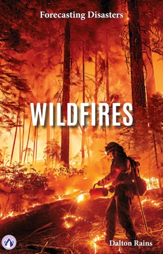 Cover image: Wildfires 1st edition 9798892506656